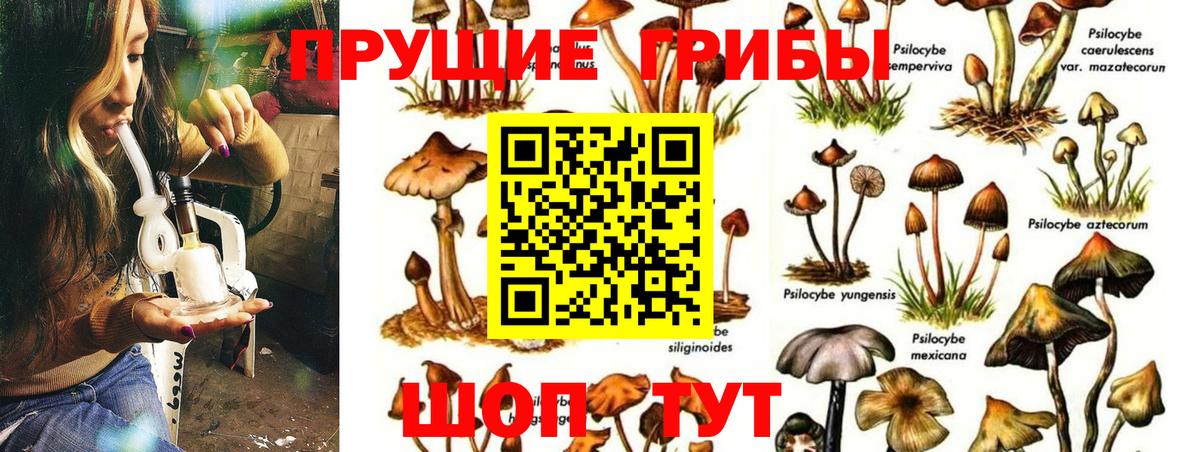 Галлюциногенные грибы мухоморы Клин
